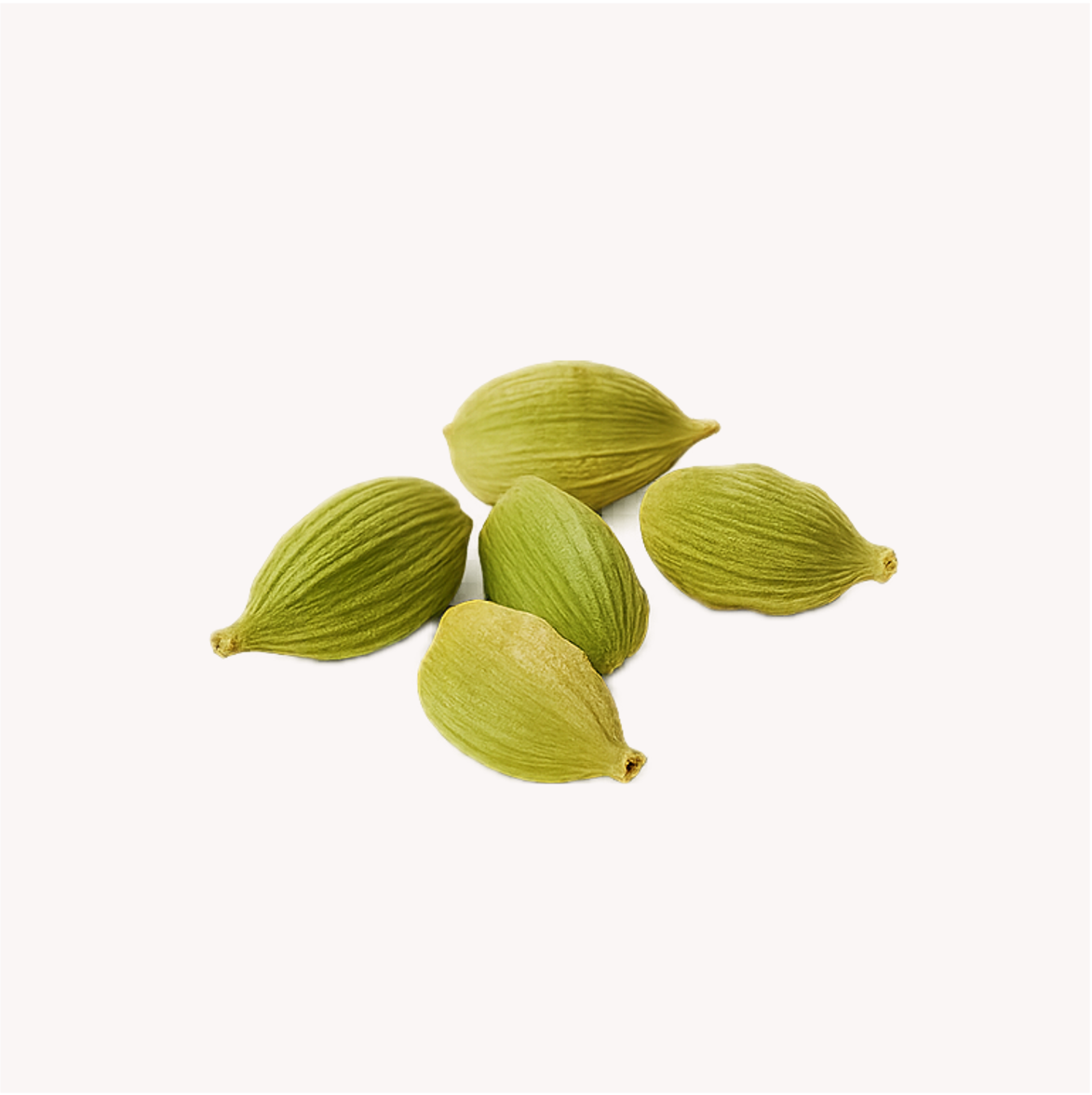 Extracto de Cardamomo (Elettaria cardamomum)