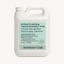 Extracto de Ajo (Allium sativum)