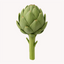 Extracto de Alcachofa (Cynara scolymus)