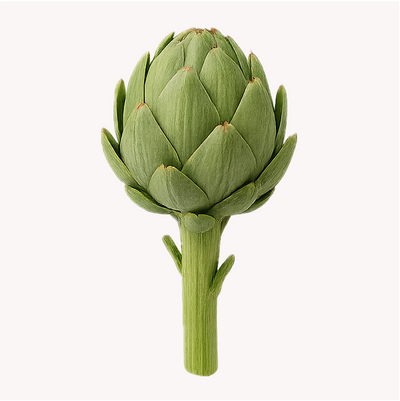 Extracto de Alcachofa (Cynara scolymus)