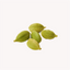 Extracto de Cardamomo (Elettaria cardamomum)