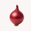 Extracto de Cebolla (Allium cepa)