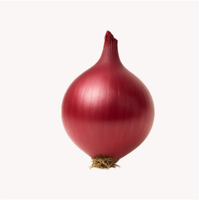 Extracto de Cebolla (Allium cepa)