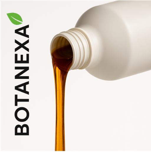 Extracto de Bambú (Bambusa vulgaris)