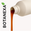Extracto de Canela (Cinnamomum verum)