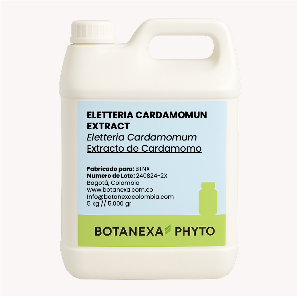 Extracto de Cardamomo (Elettaria cardamomum)