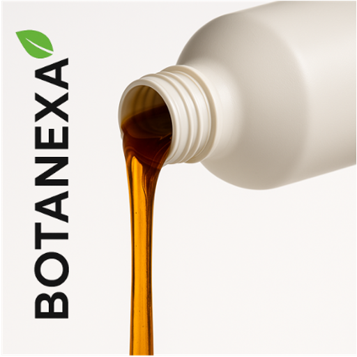 Extracto de Cebolla (Allium cepa)