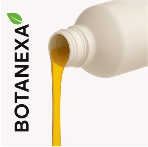 Extracto de Cúrcuma (Curcuma longa)