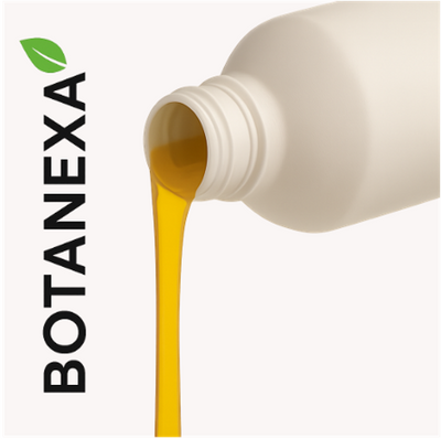 Extracto de Cúrcuma (Curcuma longa)