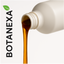 Extracto de Jengibre (Zingiber officinale)
