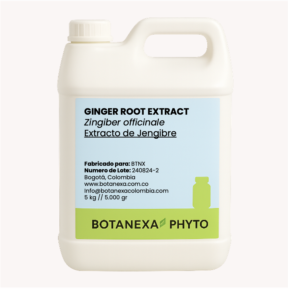 Extracto de Jengibre (Zingiber officinale)