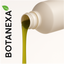 Extracto de Moringa (Moringa oleifera)