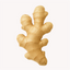 Extracto de Jengibre (Zingiber officinale)