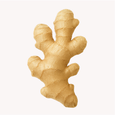 Extracto de Jengibre (Zingiber officinale)