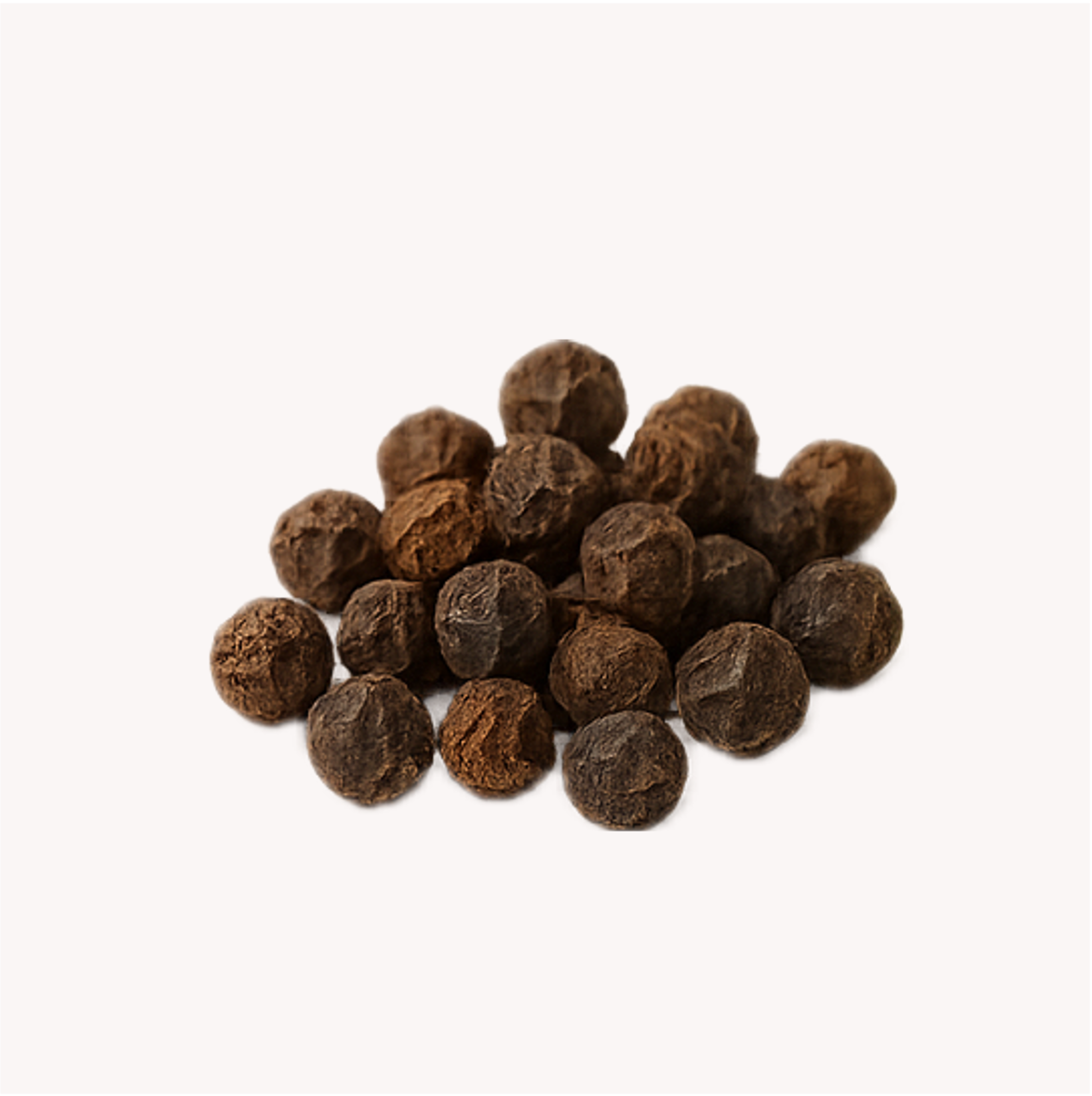 Extracto de Pimienta Negra (Piper nigrum)